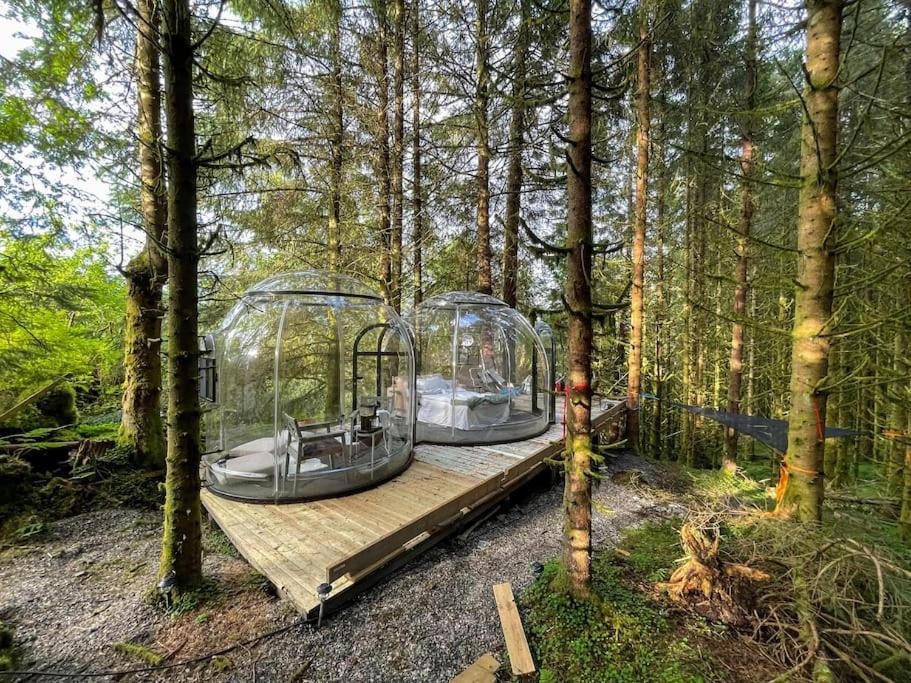 Appartement Magical Forest Haven Dome Bergen