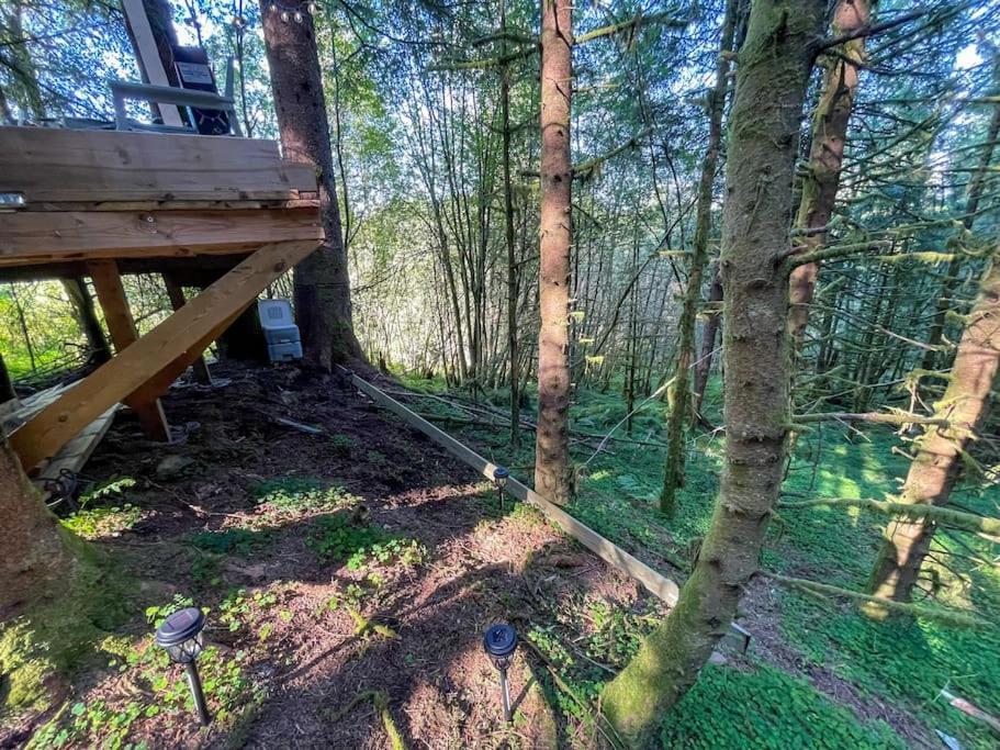 Appartement Magical Forest Haven Dome *