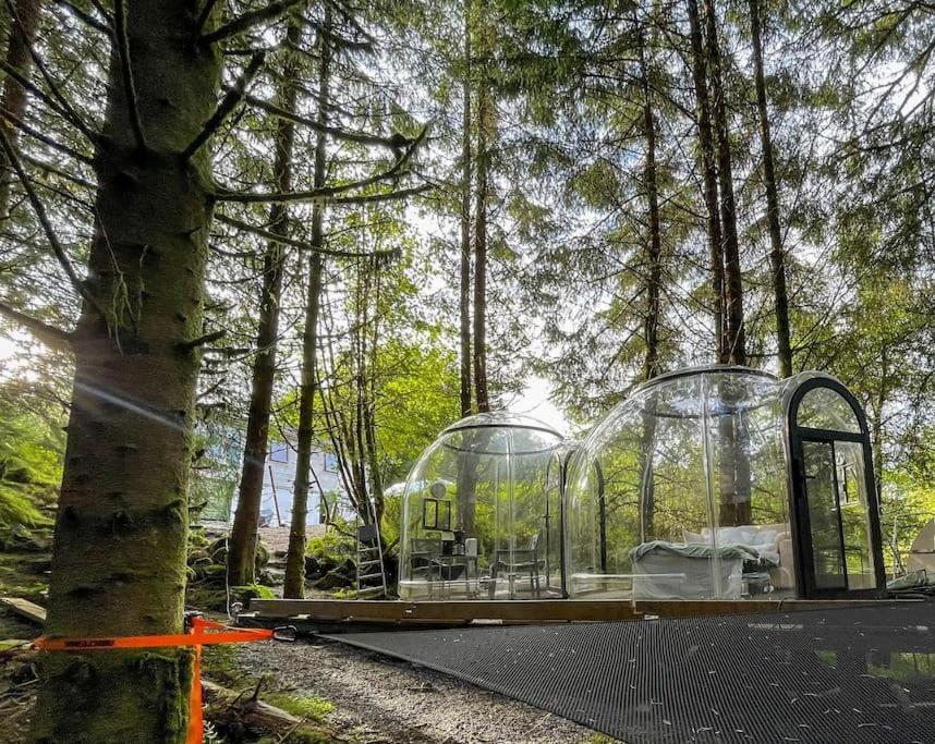 Magical Forest Haven Dome * Bergen