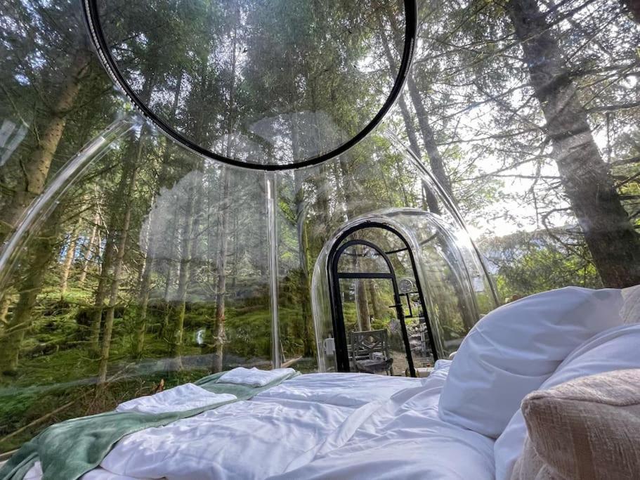 Appartement Magical Forest Haven Dome